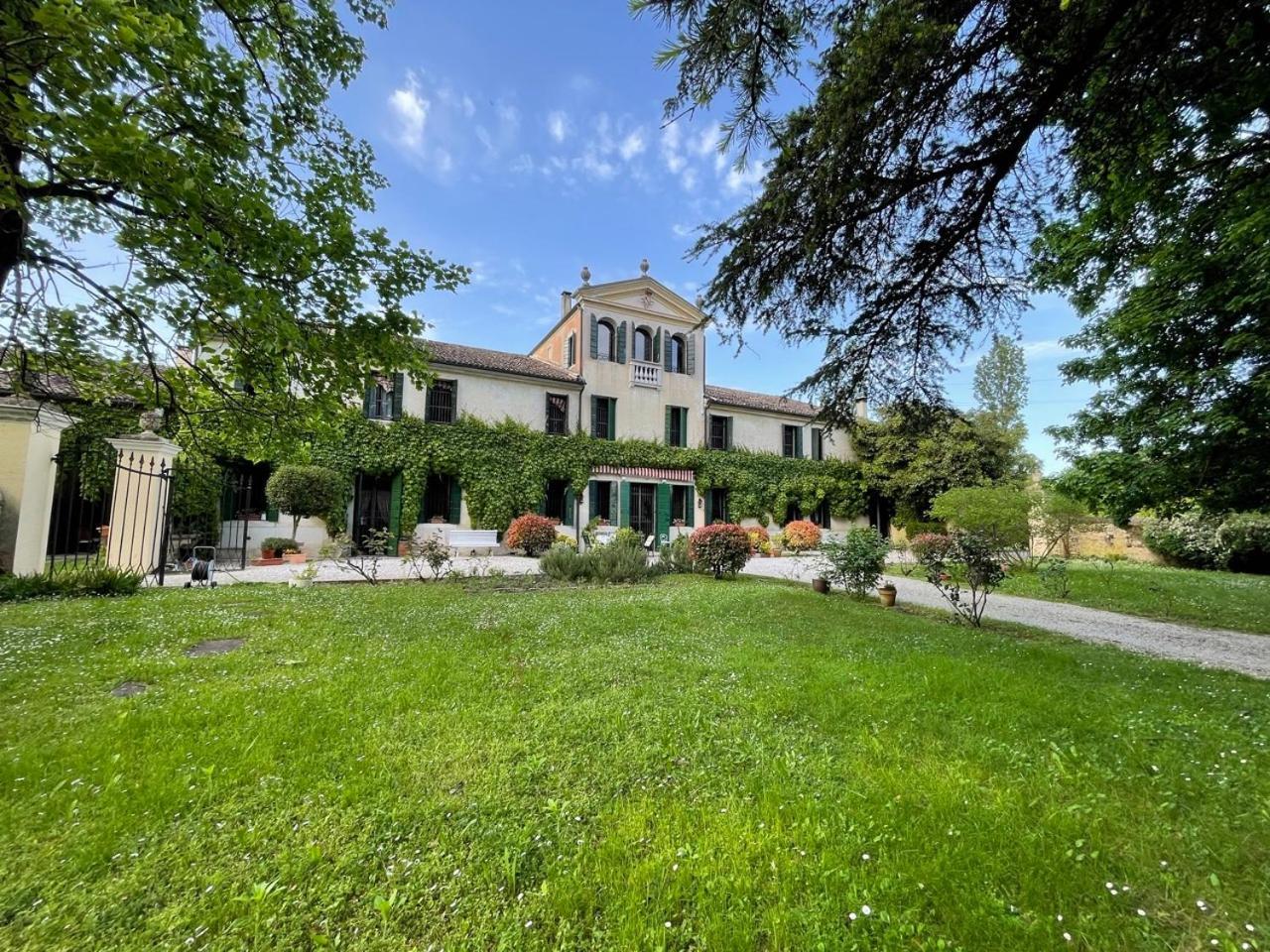 B&B Villa Gradenigo Lancenigo Kültér fotó